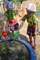 �����������