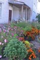 �����������