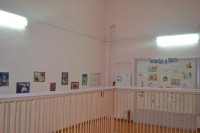 �����������