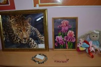 ��������